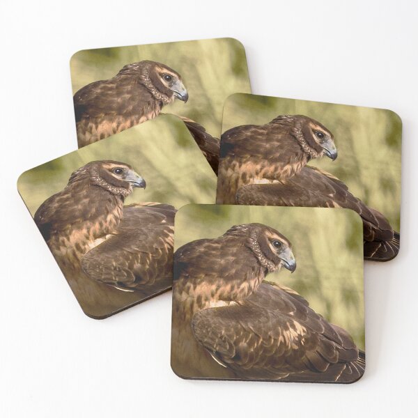 Item preview, Northern Harrier Hawk designed and sold by CarolM.