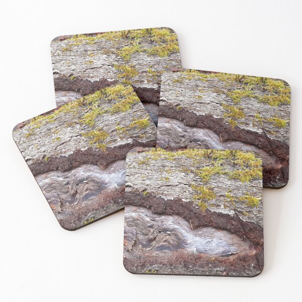 Item preview, Tronco de árbol con musgo - Fotografía de naturaleza designed and sold by KristinasPhotos.