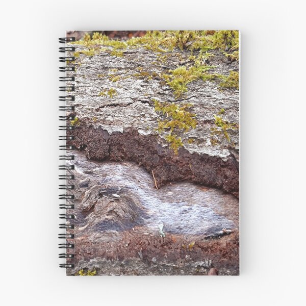 Item preview, Tree Trunk with Moss - Nature Photography designed and sold by KristinasPhotos.