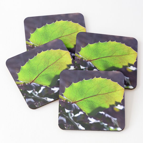 Item preview, Nature photography in the fall season designed and sold by Ventures1.