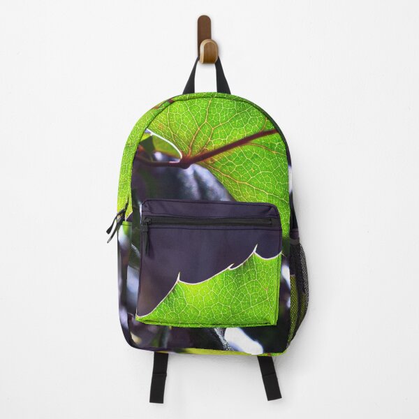 Item preview, Nature photography in the fall season designed and sold by Ventures1.
