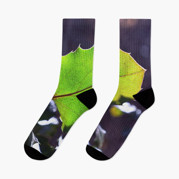 Item preview, Nature photography in the fall season designed and sold by Ventures1.