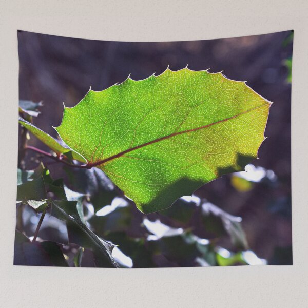 Item preview, Nature photography in the fall season designed and sold by Ventures1.
