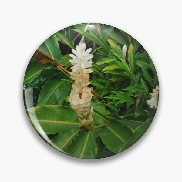Item preview, Beautiful White Teuila designed and sold by Ayurveda Fun Store.