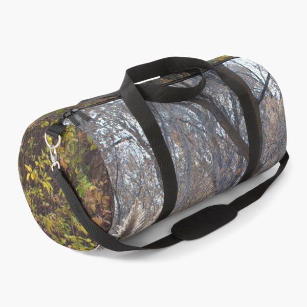 Item preview, Nature photography in the fall season designed and sold by Ventures1.