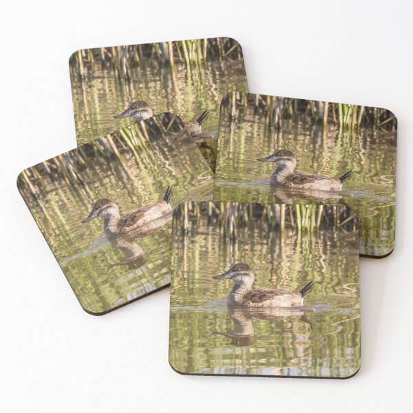Item preview, Juvenile Ruddy Duck designed and sold by CarolM.