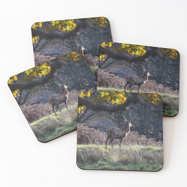 Item preview, Deer thoughts designed and sold by beckydaneseart.