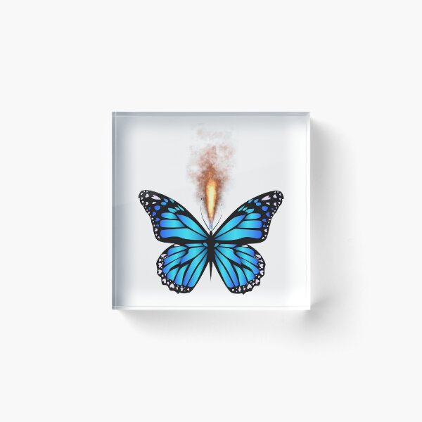 THE BUTTERFLIES OF SKARABRAE Acrylic Block