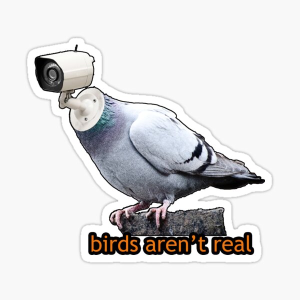 "birds aren't real" Sticker by designzen | Redbubble