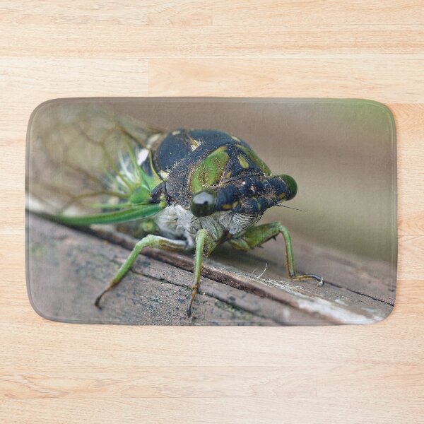 Item preview, Cicada designed and sold by Frankie Cat Photography.