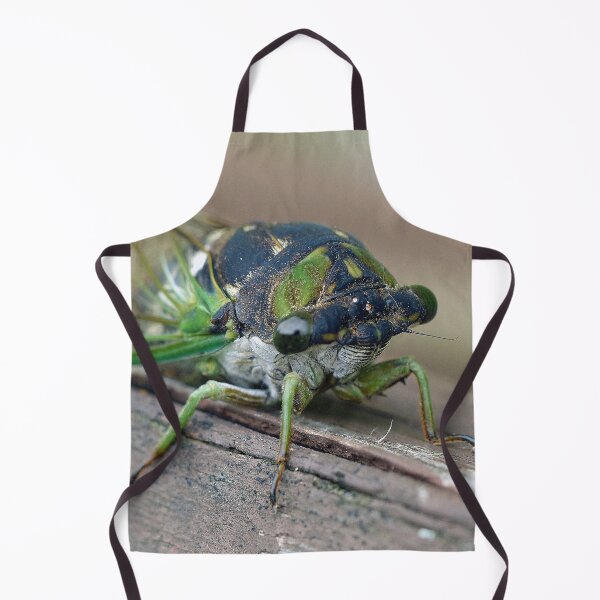 Item preview, Cicada designed and sold by Frankie Cat Photography.