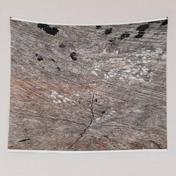 Item preview, Tree Trunk Grain Wood Forest Nature Photography designed and sold by KristinasPhotos.