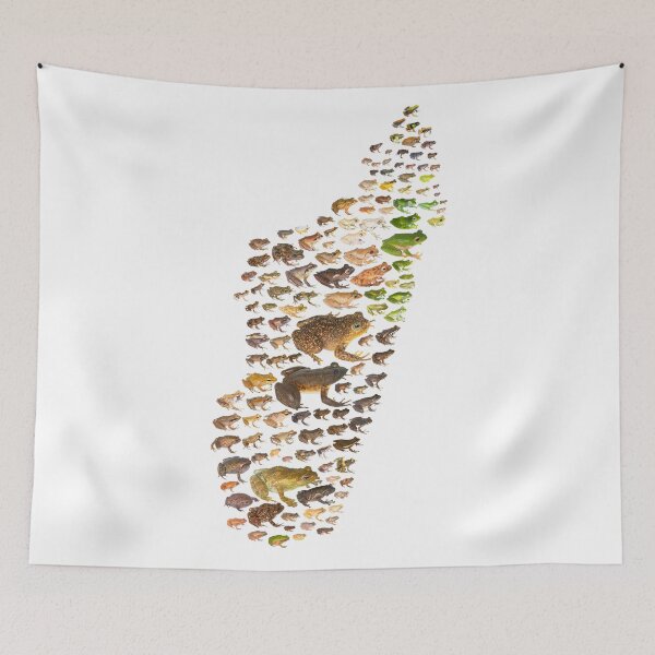 Item preview, Madagascar's Frogs designed and sold by Mark D. Scherz.