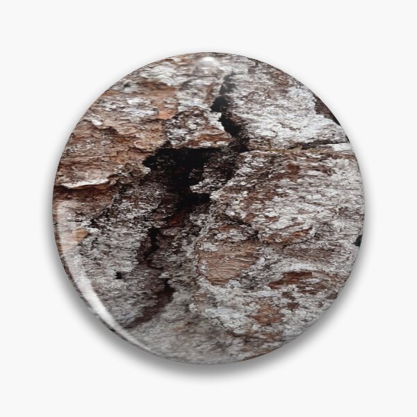 Item preview, Tree Bark Wood Forest Trunk Nature Photography designed and sold by KristinasPhotos.