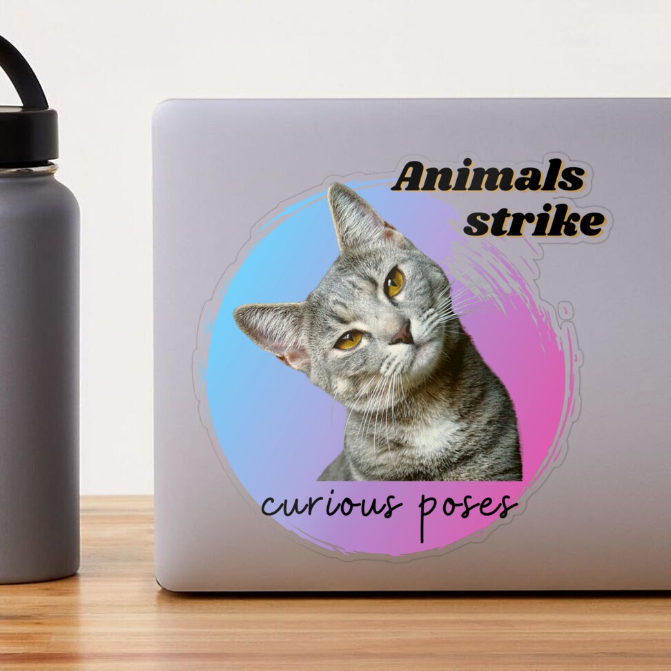 Animals Strike Curious Poses - Kindle edition by Passarello, Elena.  Literature & Fiction Kindle eBooks @ Amazon.com.