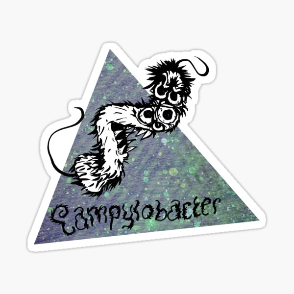 Campylobacter Sticker