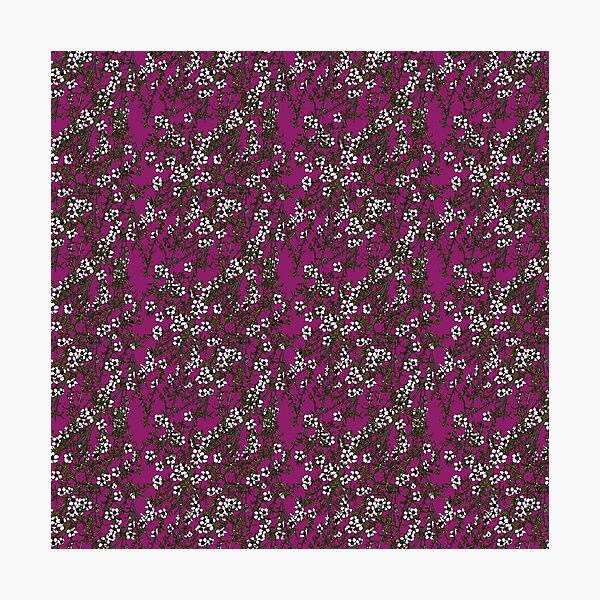The Valley - Manuka bush on magenta Photographic Print