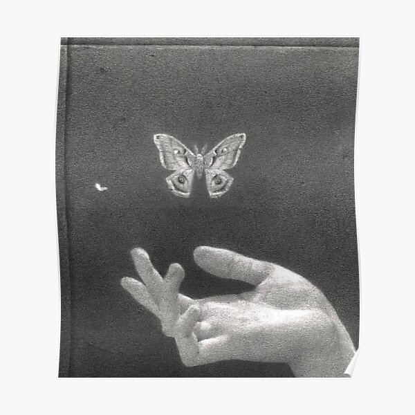 Papillon Lana Del Rey Poster