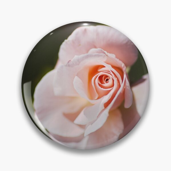 Item preview, Pink Rose Bud Delicate designed and sold by Joy Watson - Natural Light Photography .