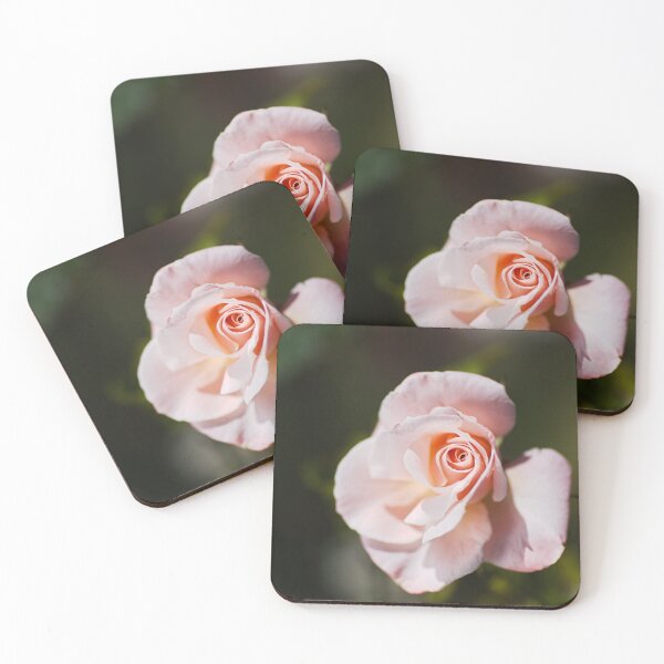 Item preview, Pink Rose Bud Delicate designed and sold by Joy Watson - Natural Light Photography .