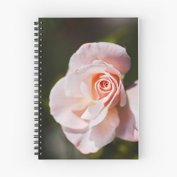 Item preview, Pink Rose Bud Delicate designed and sold by Joy Watson - Natural Light Photography .