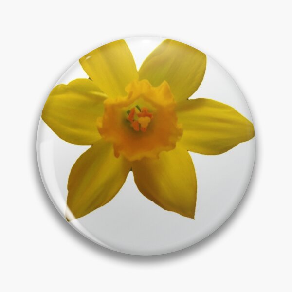 Item preview, Yellow Daffodil Flower designed and sold by pluspixels.