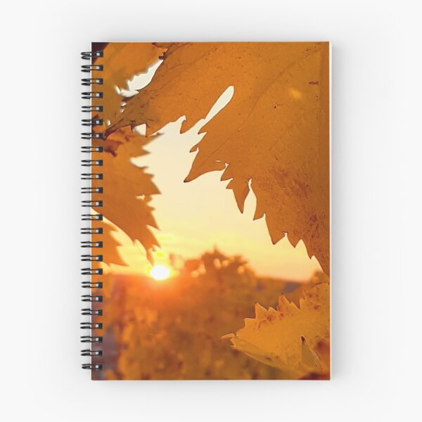 Item preview, Sunset in the Vineyards of Würzburg | Beautiful Summer Day in Lower Frankonia | Photography designed and sold by KristinasPhotos.