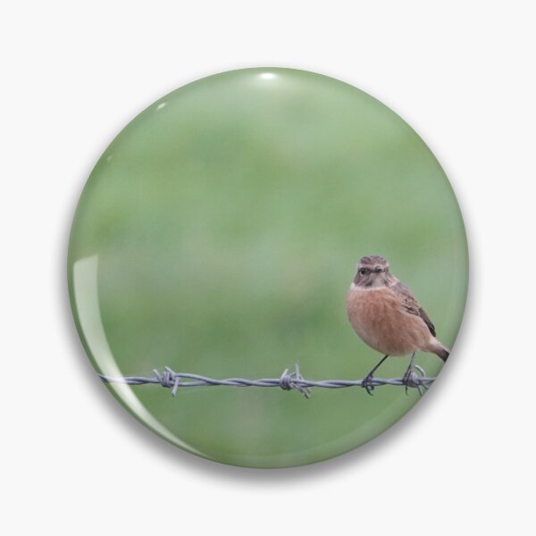 Item preview, Stonechat designed and sold by frogs123.