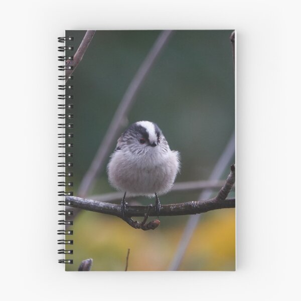 Item preview, Long tailed tit designed and sold by frogs123.