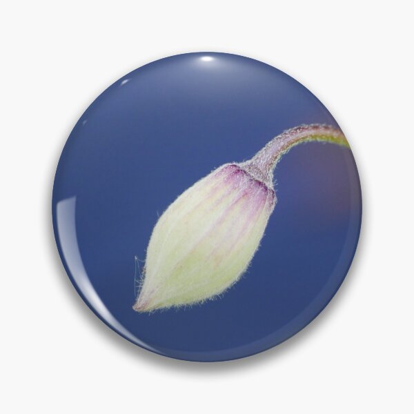Item preview, White Cyclamen Flower Bud designed and sold by pluspixels.