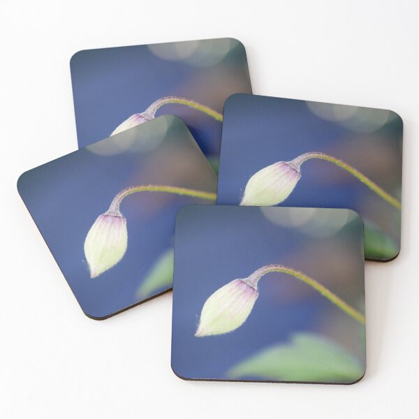 Item preview, White Cyclamen Flower Bud designed and sold by pluspixels.