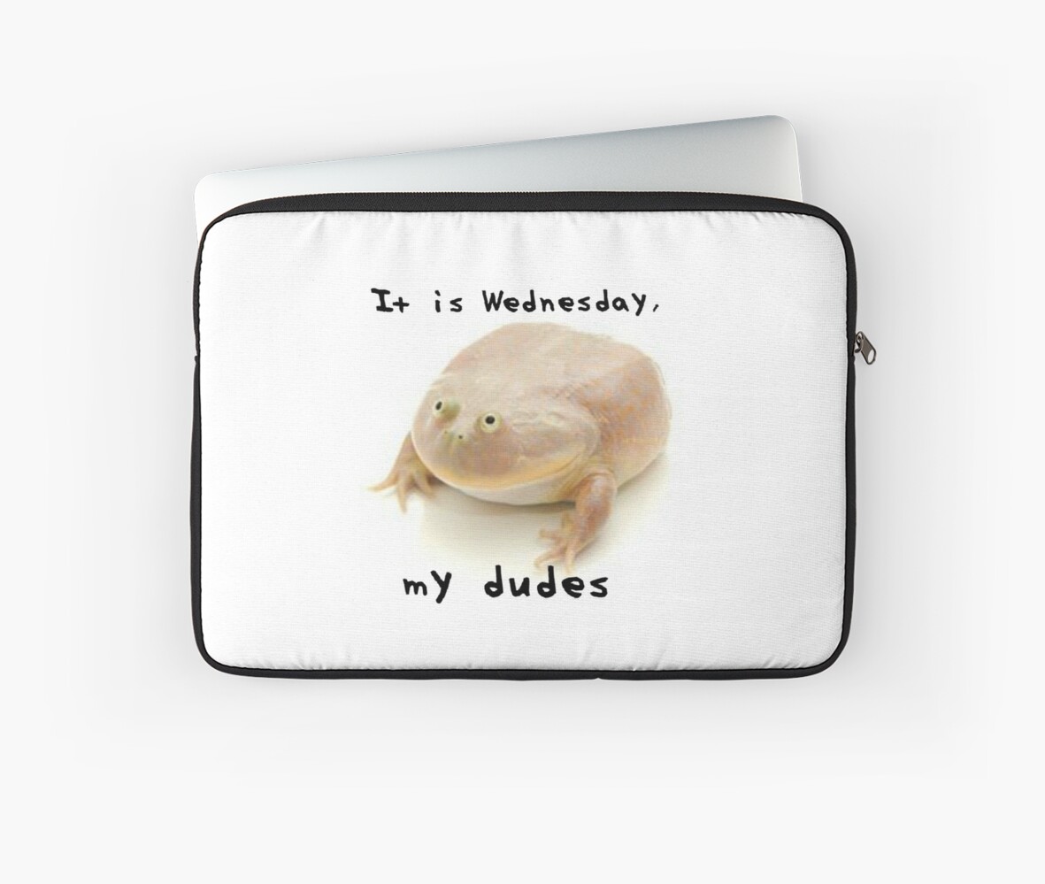 it is wednesday my dudes shirt