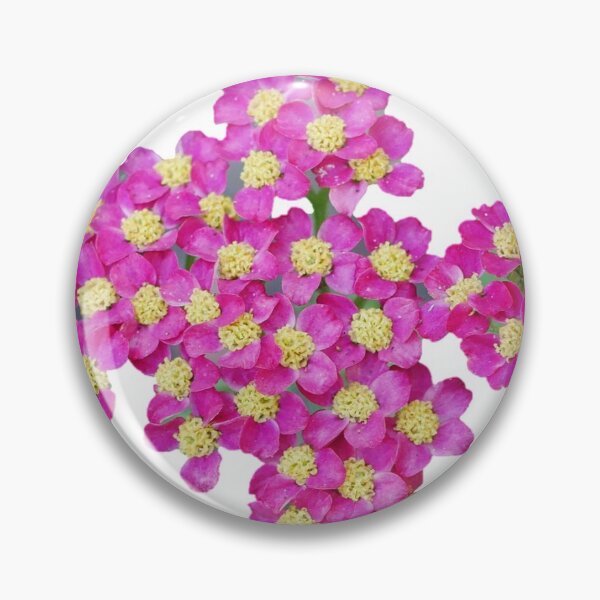 Item preview, Pink and Yellow Achillea Flowers designed and sold by pluspixels.