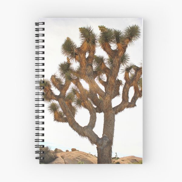 Artikelvorschau, Joshua Tree entworfen und verkauft von Alex Baron.