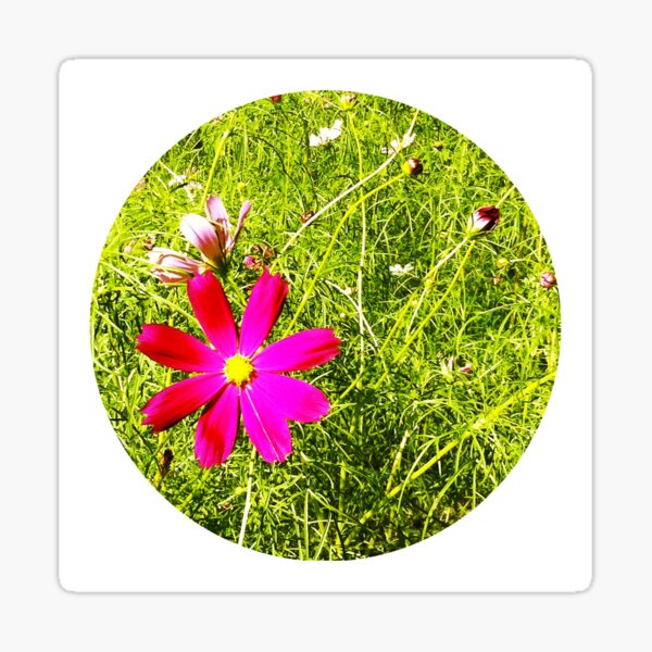 Wild Flowers Sticker