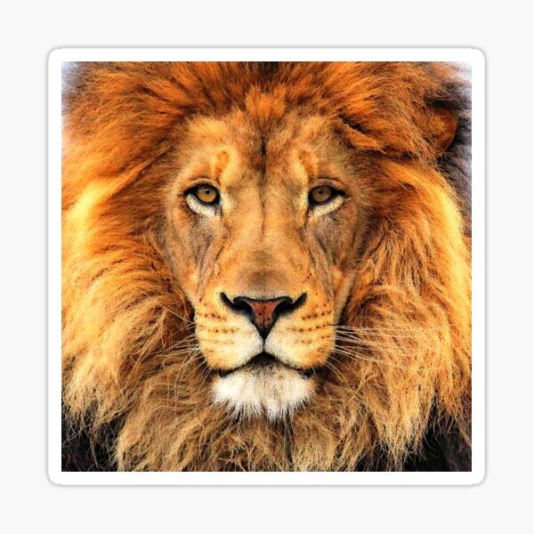 Item preview, Beautiful Lion Face Wild Cat Glare designed and sold by LC Graphic Design Studio.