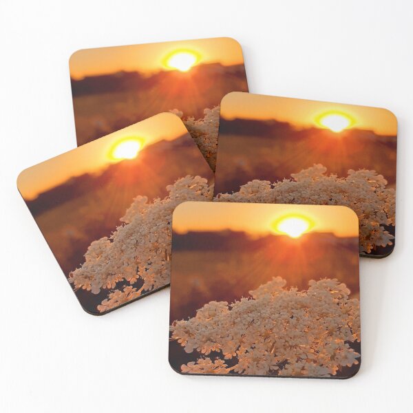 Item preview, Yarrow in the Sunset | Evening Sky in Lower Franconia | Summer Nature Photography designed and sold by KristinasPhotos.