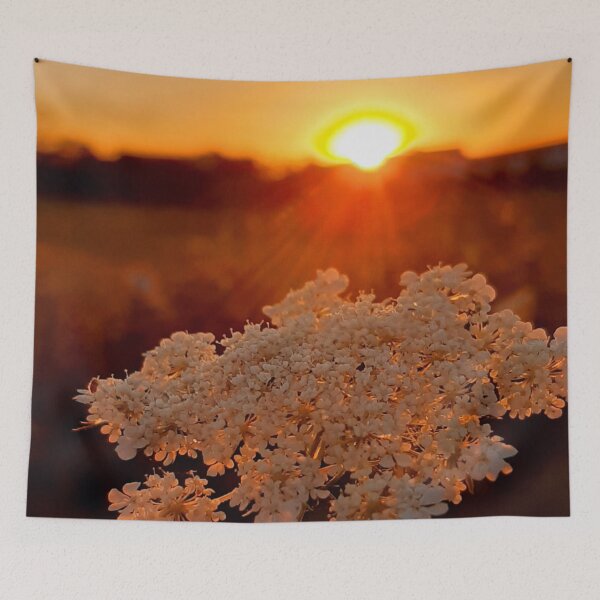 Item preview, Yarrow in the Sunset | Evening Sky in Lower Franconia | Summer Nature Photography designed and sold by KristinasPhotos.