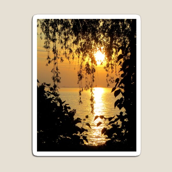 Lace Against the Sunset Magnet