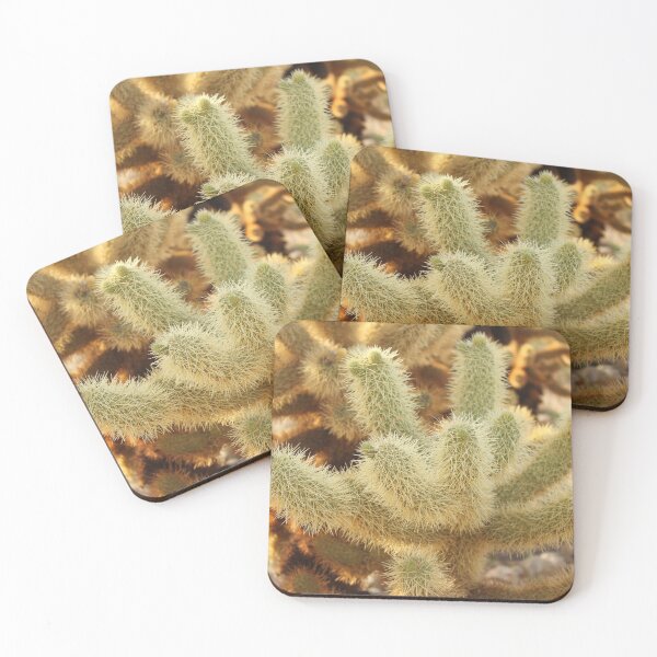 Item preview, Cholla Cactus designed and sold by Alex Baron.