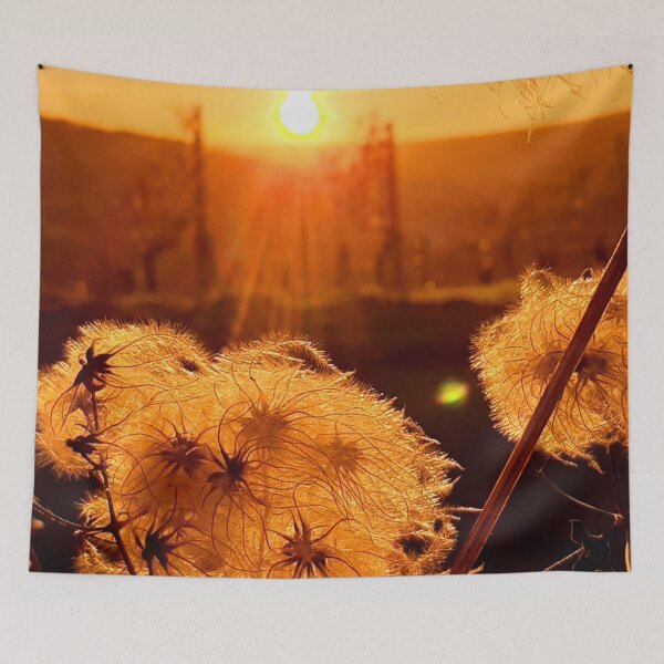 Item preview, Sunset in the Vineyards of Randersacker, Lower Franconia | Summer Evening Mood Photography designed and sold by KristinasPhotos.