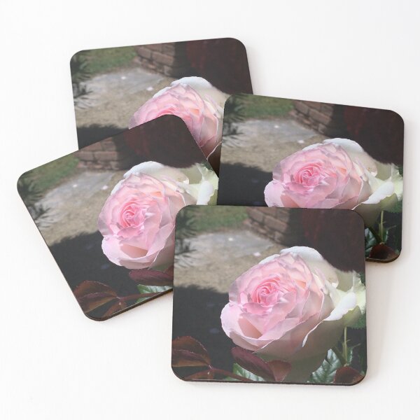 Item preview, Rosa, divina - Pierre de Ronsard en la RTBG designed and sold by RoseAromas.