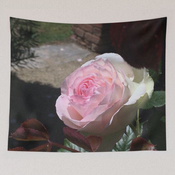 Item preview, Rose, divine - Pierre de Ronsard at the RTBG designed and sold by RoseAromas.