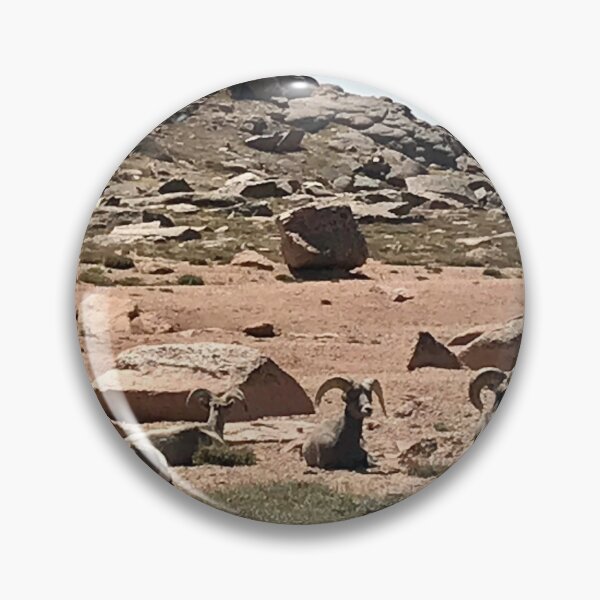 Item preview, Big horn sheep designed and sold by lisabaca8.