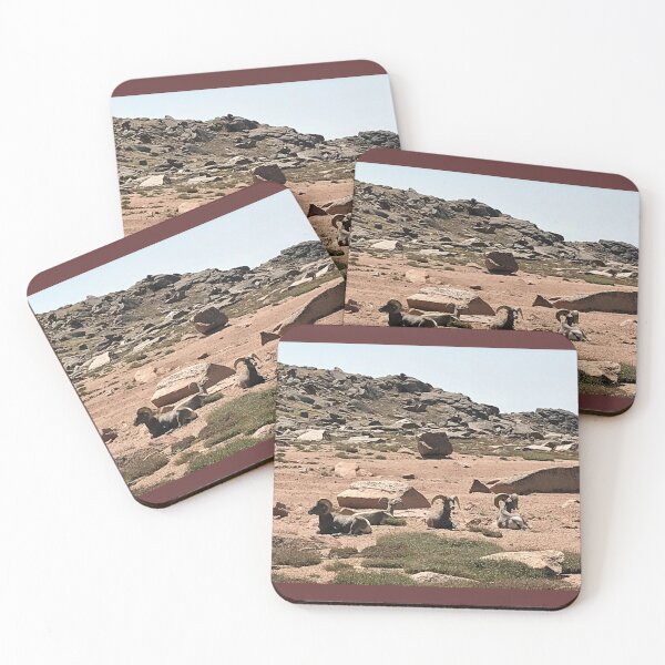 Item preview, Big horn sheep designed and sold by lisabaca8.
