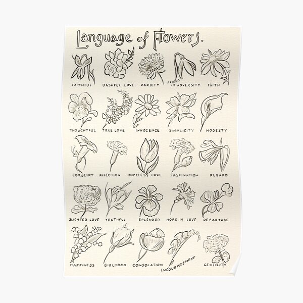 "Victorian Flower Language" Poster for Sale by aymzie94 Redbubble