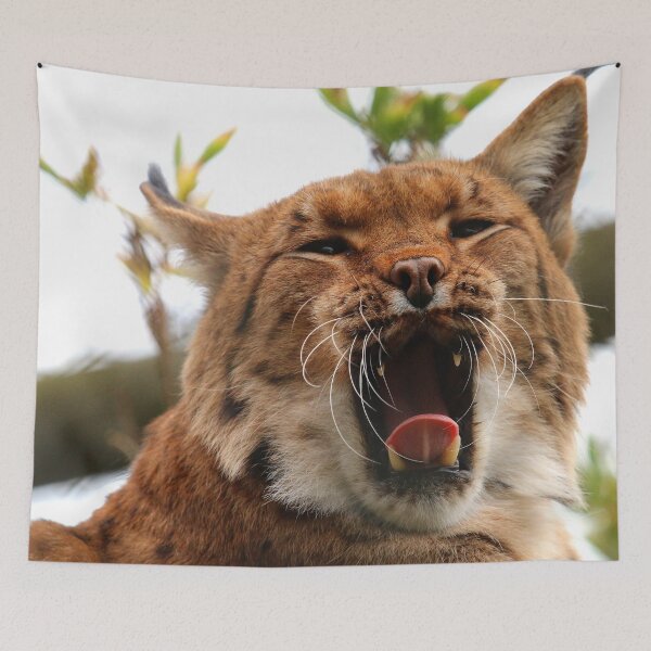 Item preview, Lazy Lynx designed and sold by Fearless-Fox.
