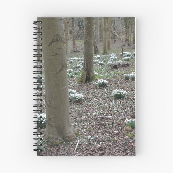 Item preview, Clumps of snowdrops on a forest floor designed and sold by thelemmingface.
