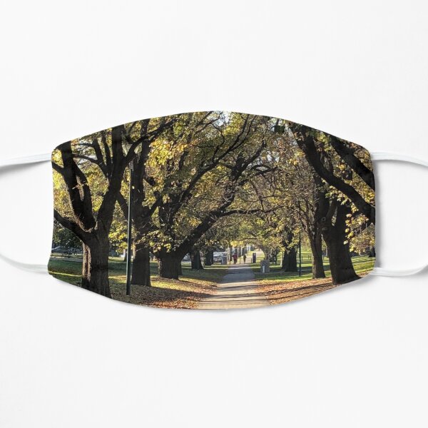 Love a relaxing walk through the trees Flat Mask