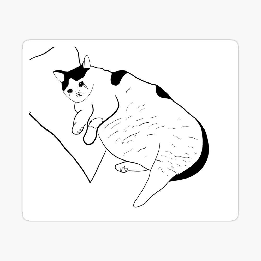 Fat cat cartoon Images  Search Images on Everypixel